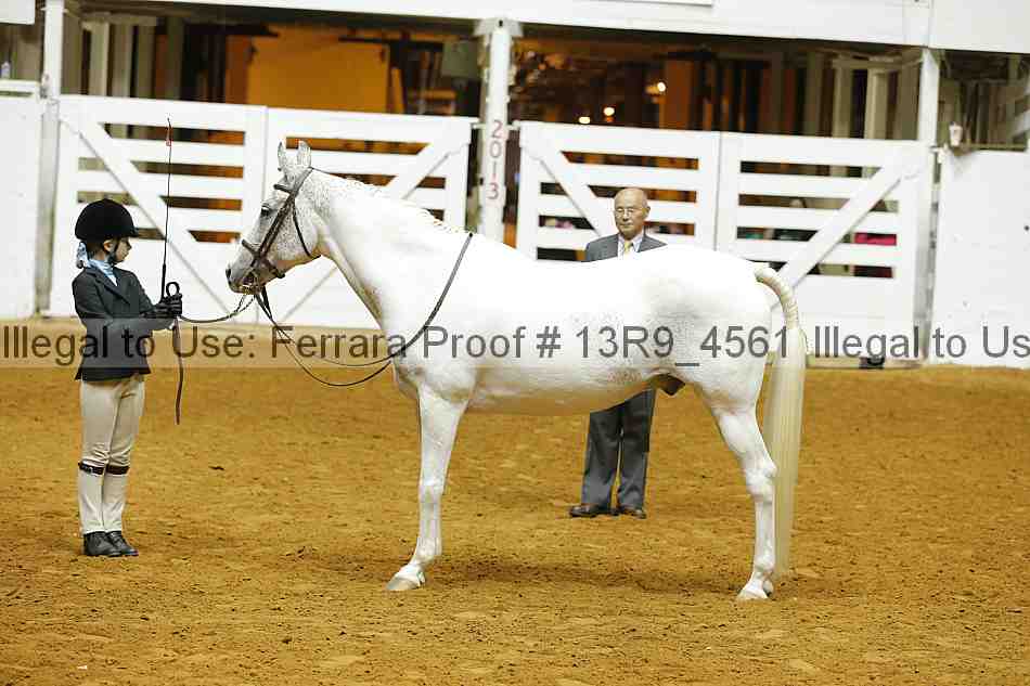 Proof 13r9_4561