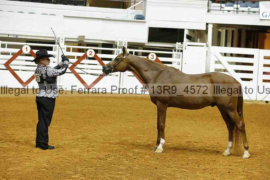 Proof 13r9_4572