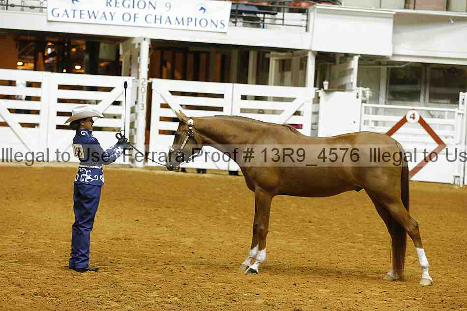 Proof 13r9_4576