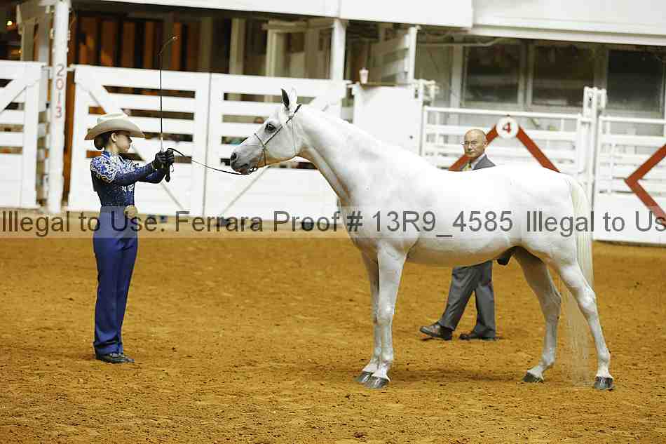 Proof 13r9_4585