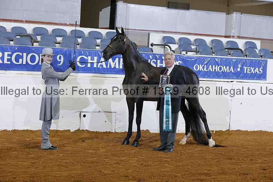 Proof 13r9_4608