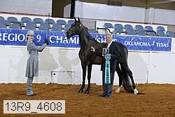 13r9_4608 proof