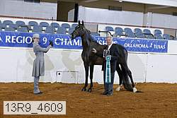 13r9_4609 proof