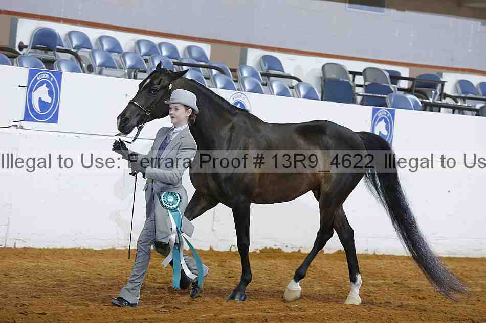Proof 13r9_4622