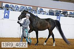 13r9_4622 proof