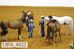 13r9_4623 proof