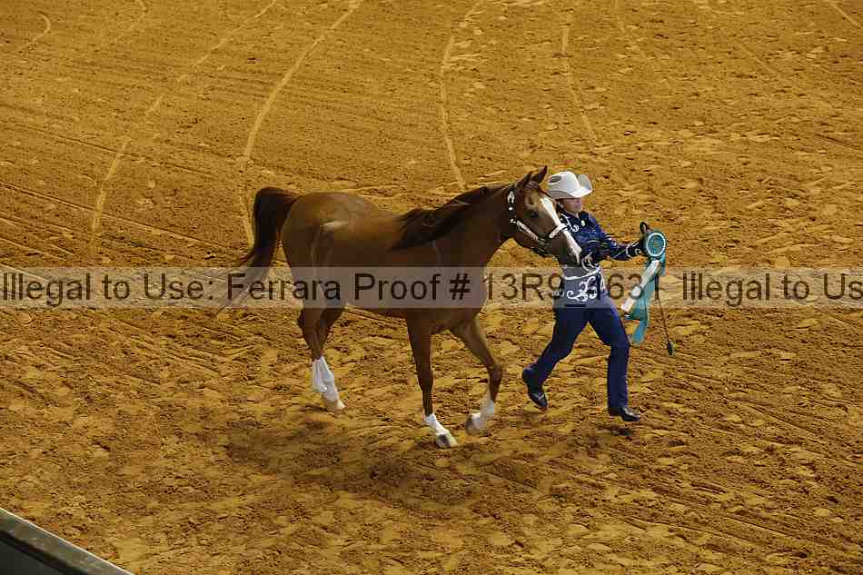 Proof 13r9_4631