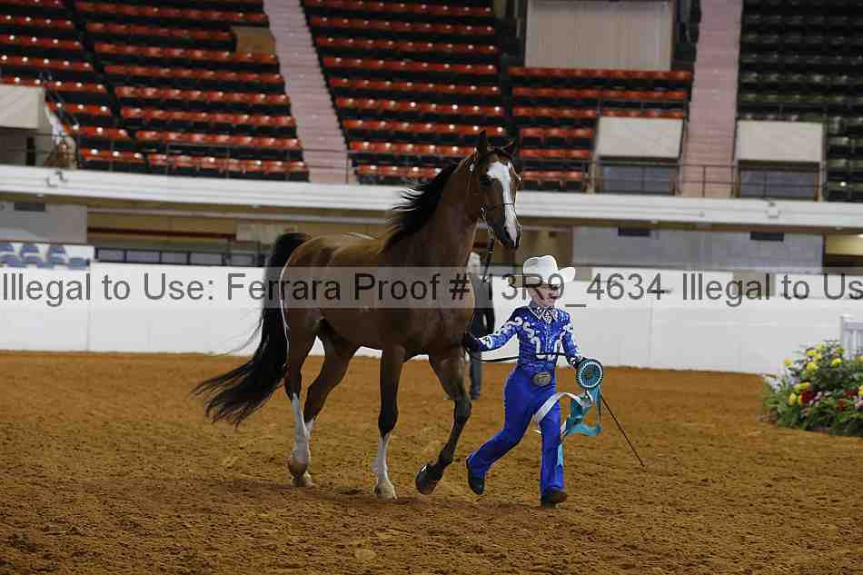 Proof 13r9_4634