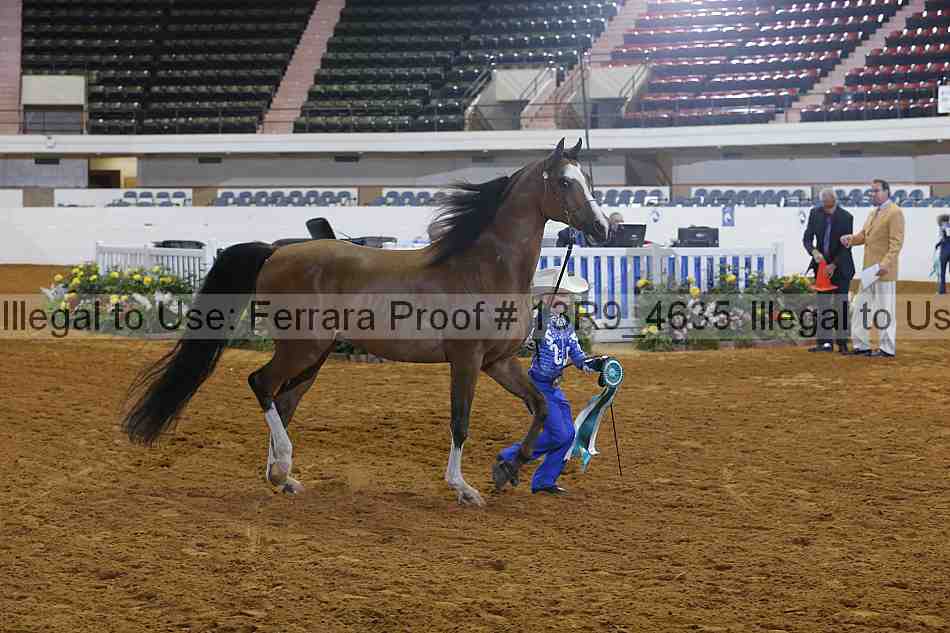 Proof 13r9_4635