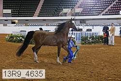 13r9_4635 proof