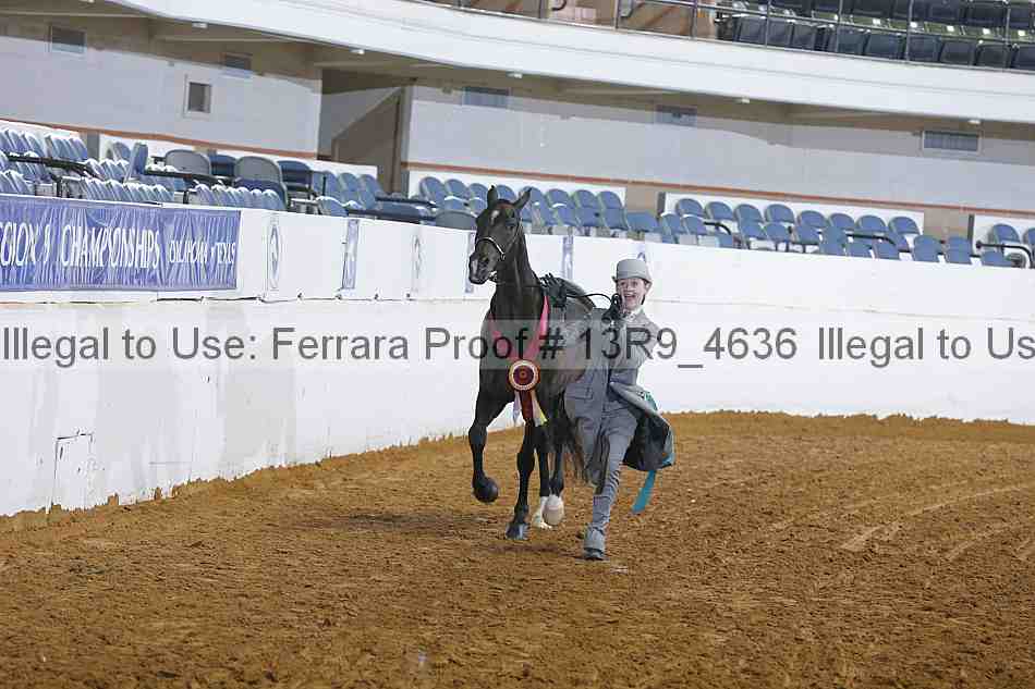 Proof 13r9_4636