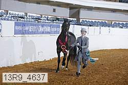 13r9_4637 proof