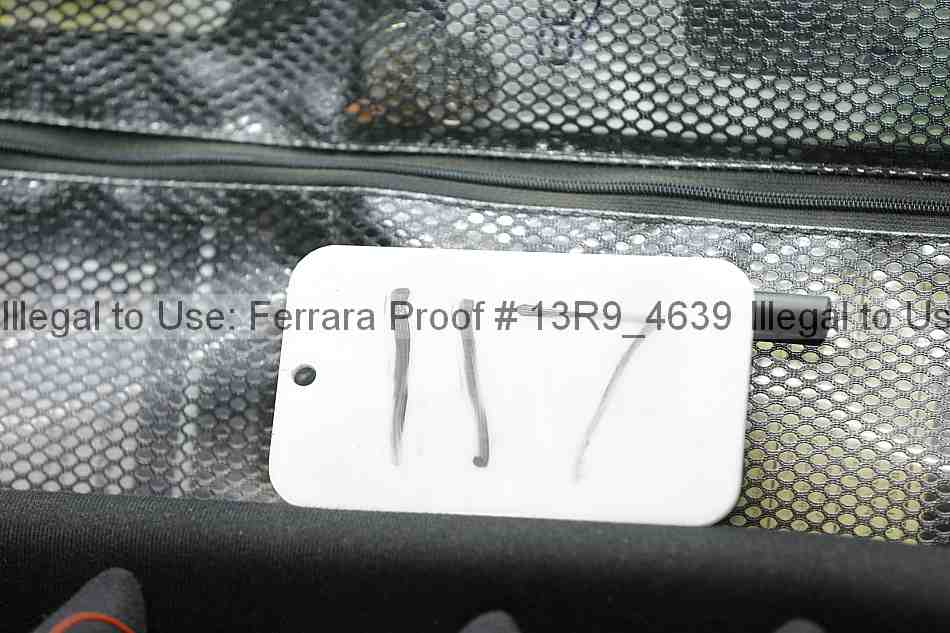 Proof 13r9_4639