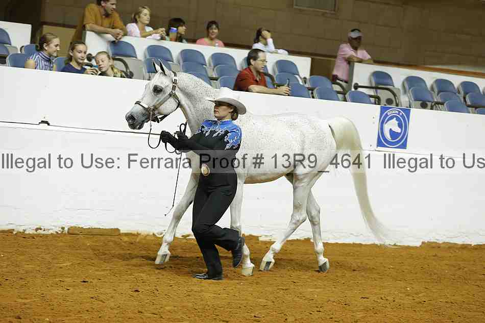 Proof 13r9_4641