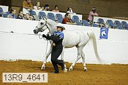 13r9_4641 proof