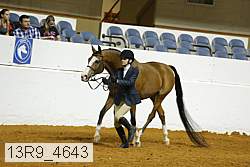 13r9_4643 proof