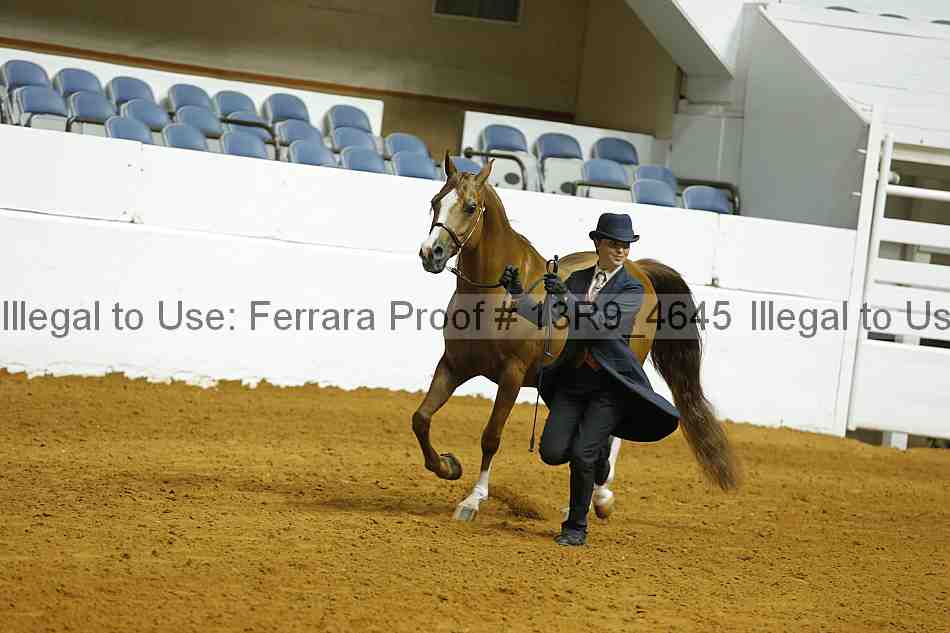 Proof 13r9_4645