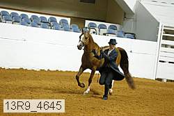 13r9_4645 proof