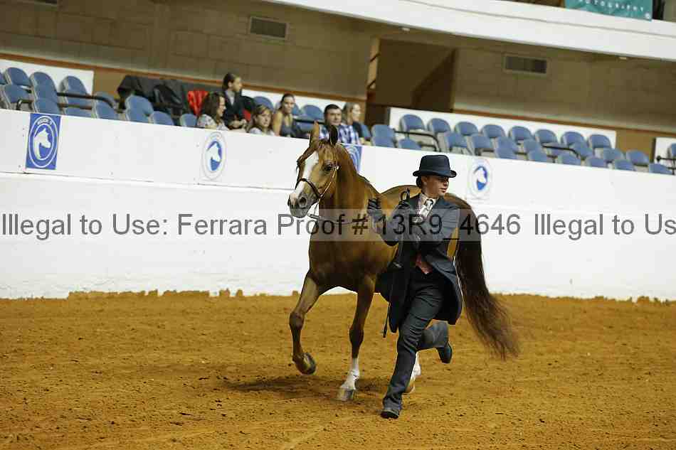 Proof 13r9_4646