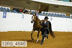 13r9_4646 proof