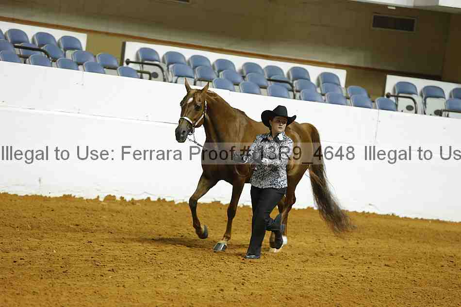Proof 13r9_4648