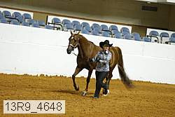 13r9_4648 proof