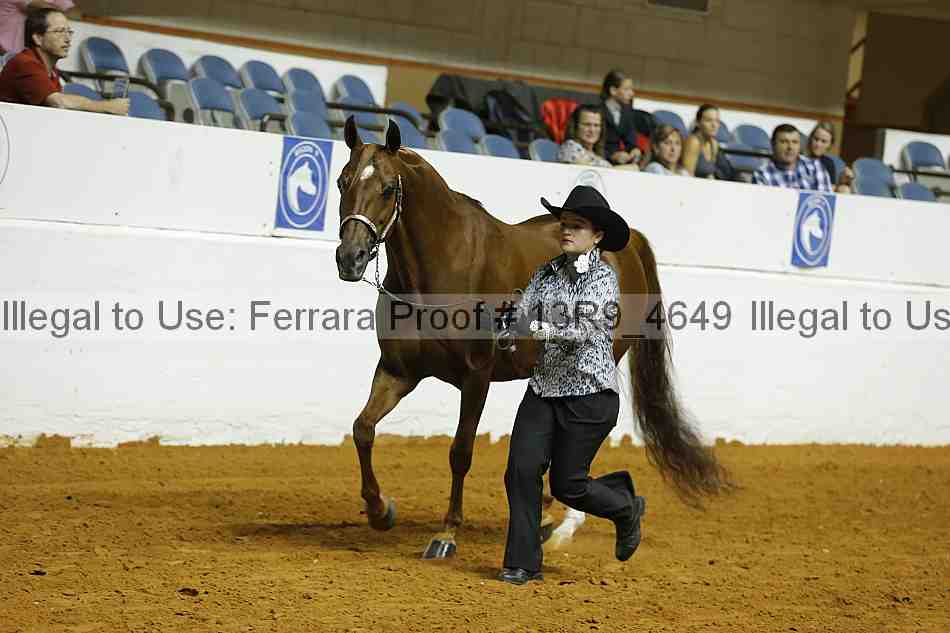 Proof 13r9_4649