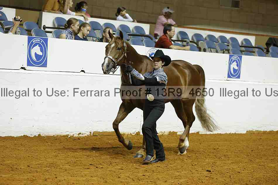 Proof 13r9_4650