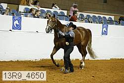 13r9_4650 proof