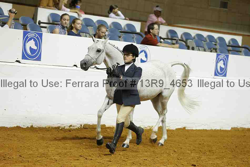 Proof 13r9_4653