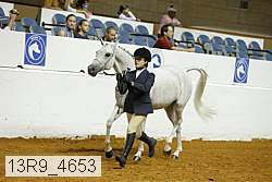 13r9_4653 proof