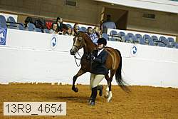 13r9_4654 proof