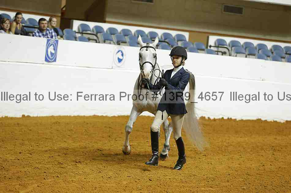 Proof 13r9_4657