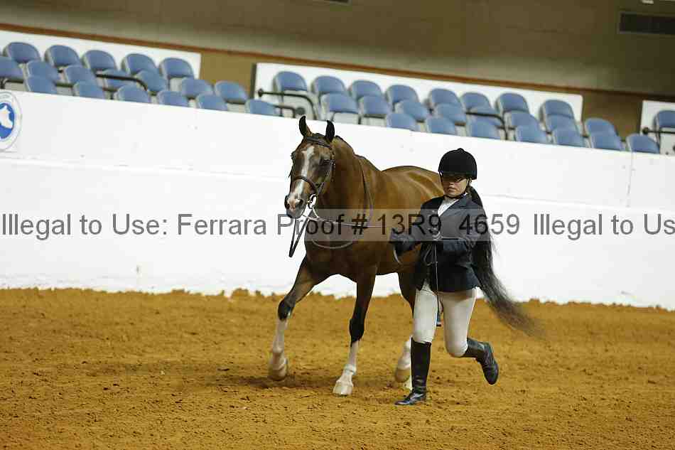 Proof 13r9_4659