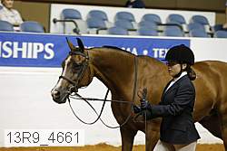 13r9_4661 proof