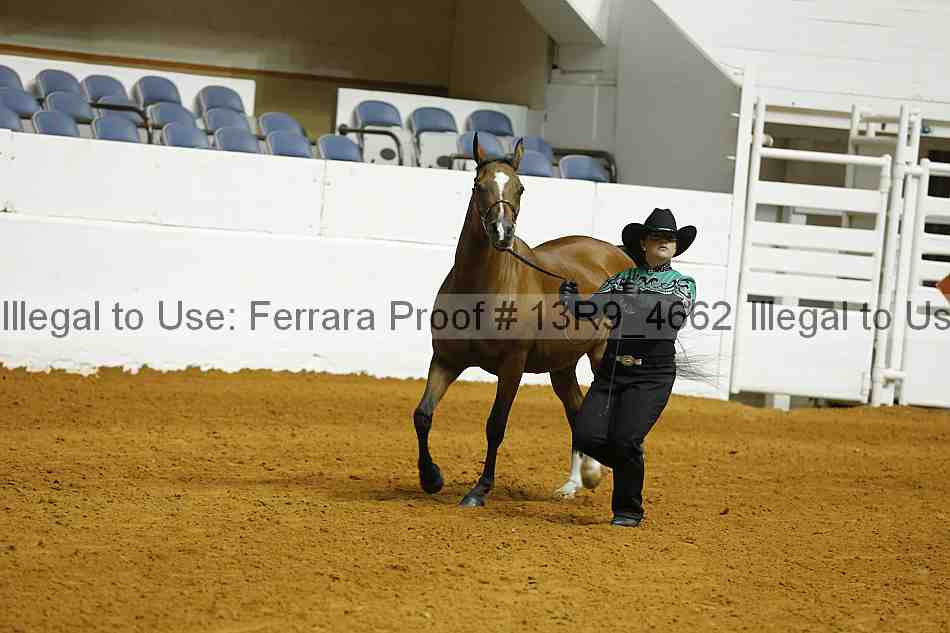 Proof 13r9_4662