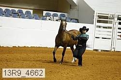 13r9_4662 proof