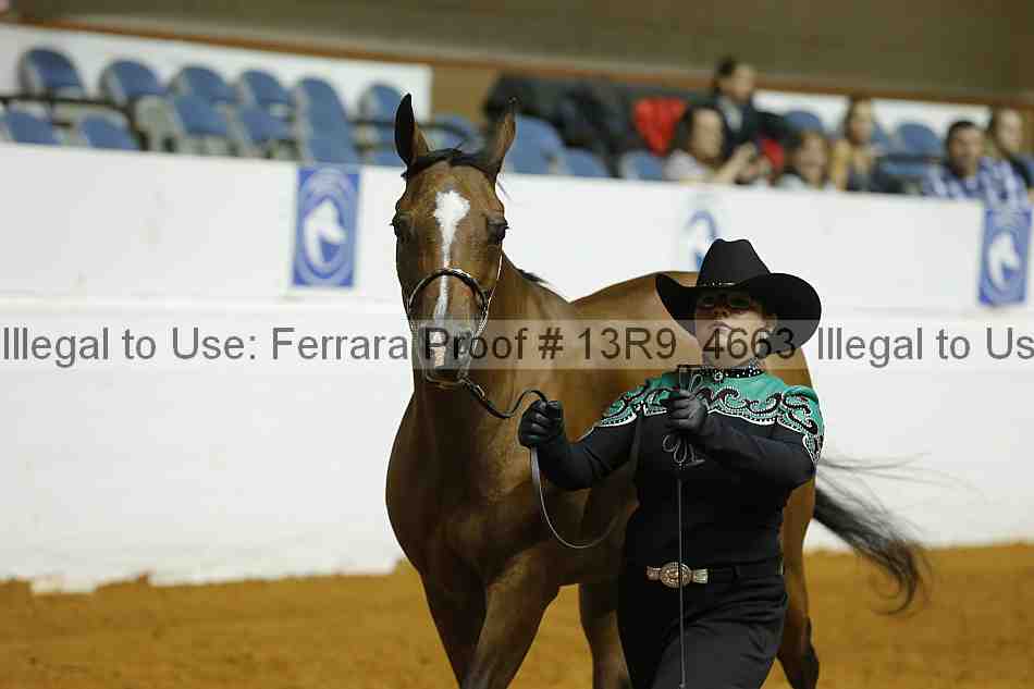 Proof 13r9_4663