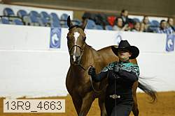 13r9_4663 proof