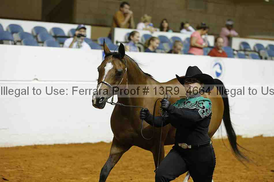 Proof 13r9_4664