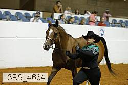 13r9_4664 proof
