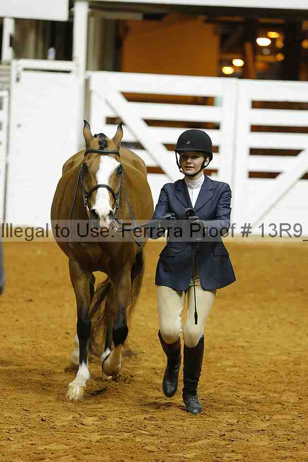 Proof 13r9_4667
