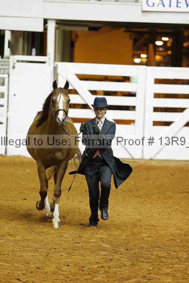 Proof 13r9_4669