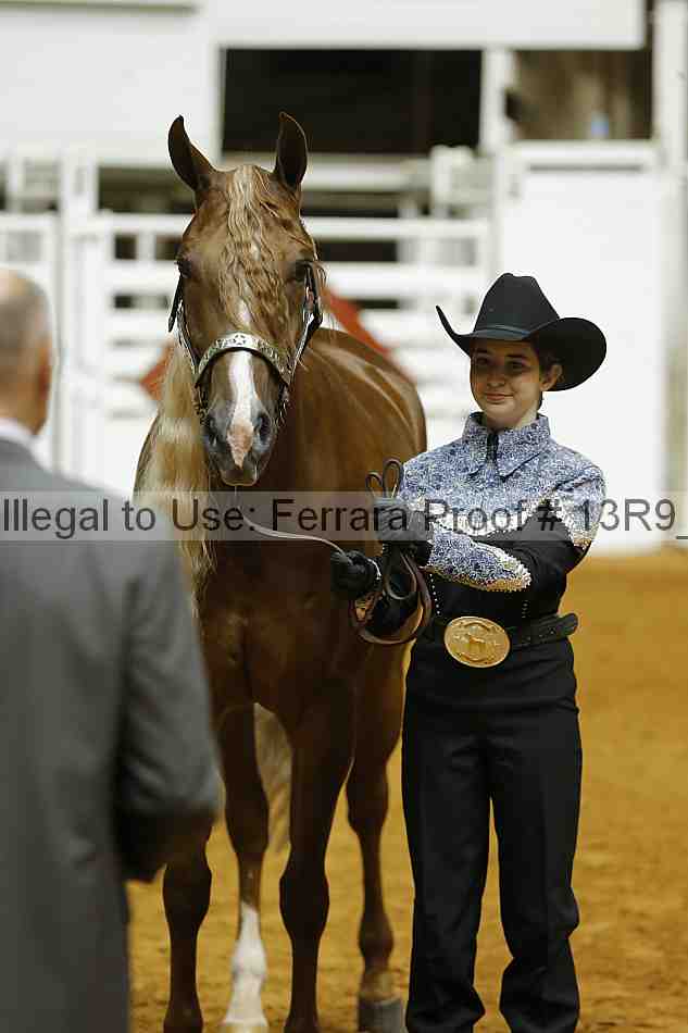 Proof 13r9_4674