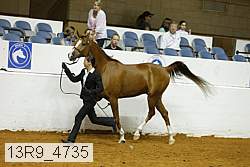 13r9_4735 proof