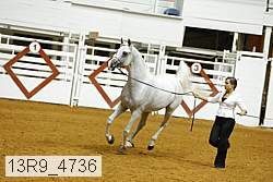 13r9_4736 proof