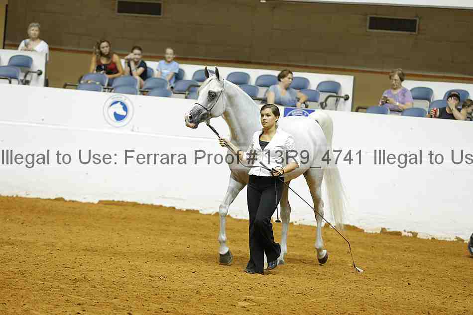 Proof 13r9_4741