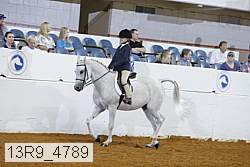 13r9_4789 proof