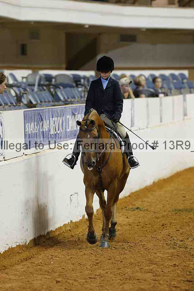 Proof 13r9_4793
