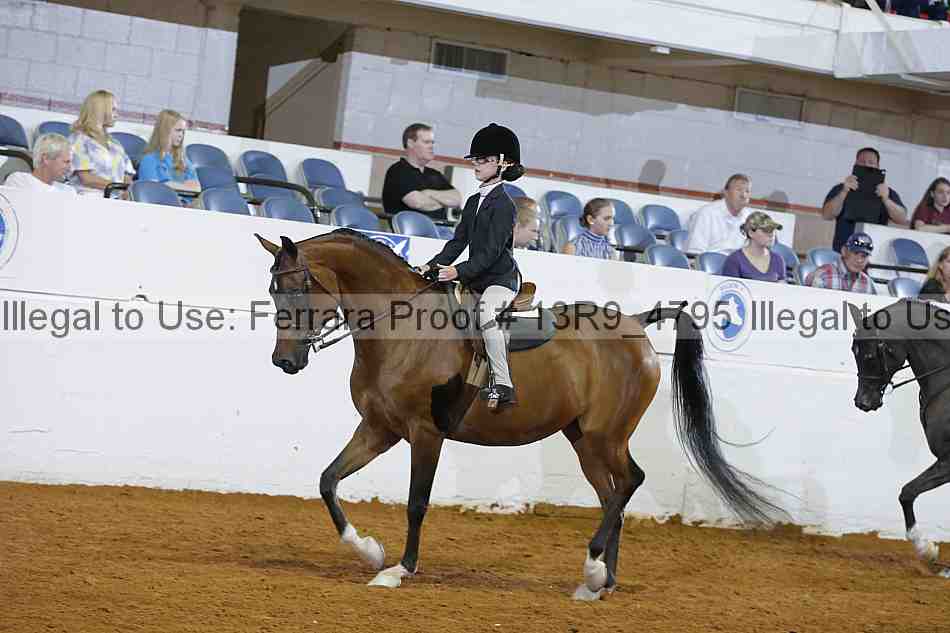 Proof 13r9_4795